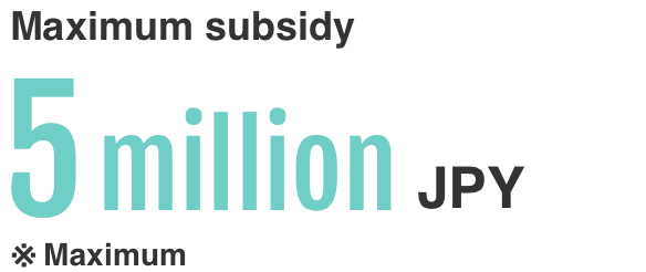 Maximum subsidy 15M JPY